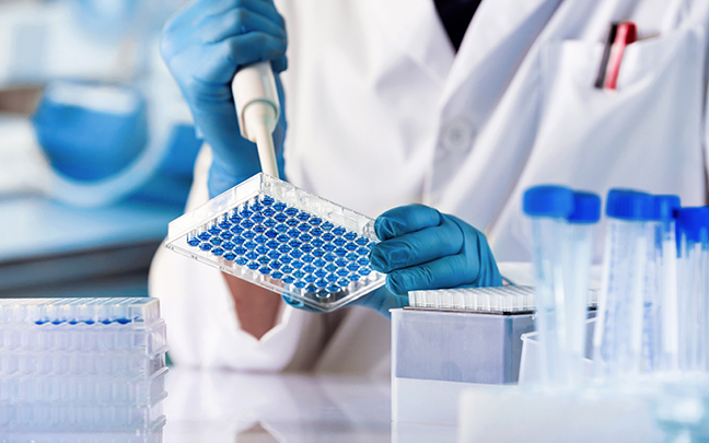 Researcher working with samples of tissue culture in microplate in the genetics laboratory